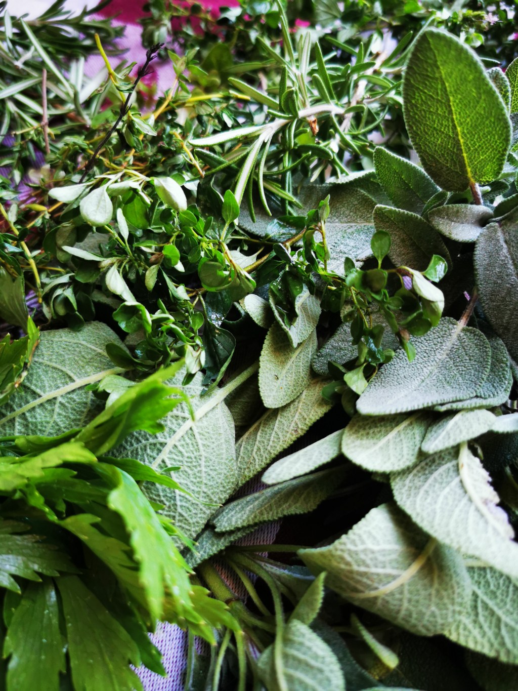 BYLINKOVÁ SOĽ 🌱