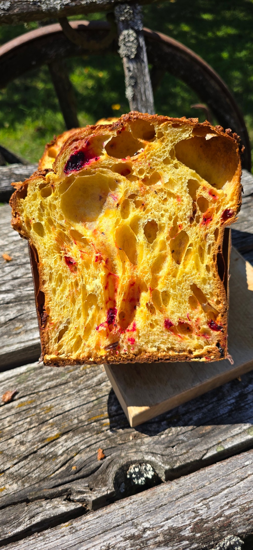 PANETTONE kurzy +INDIVIDUÁLNE kurzy.